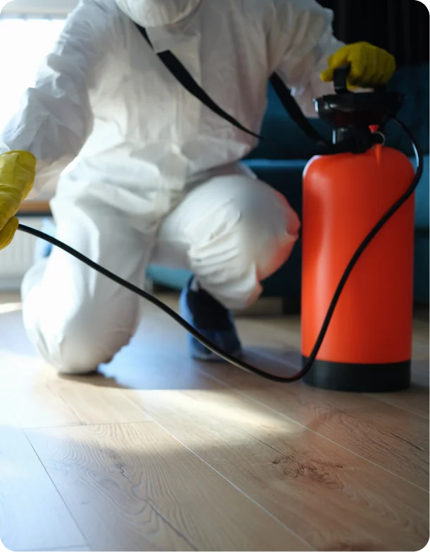 Need reliable pest control services for protection?