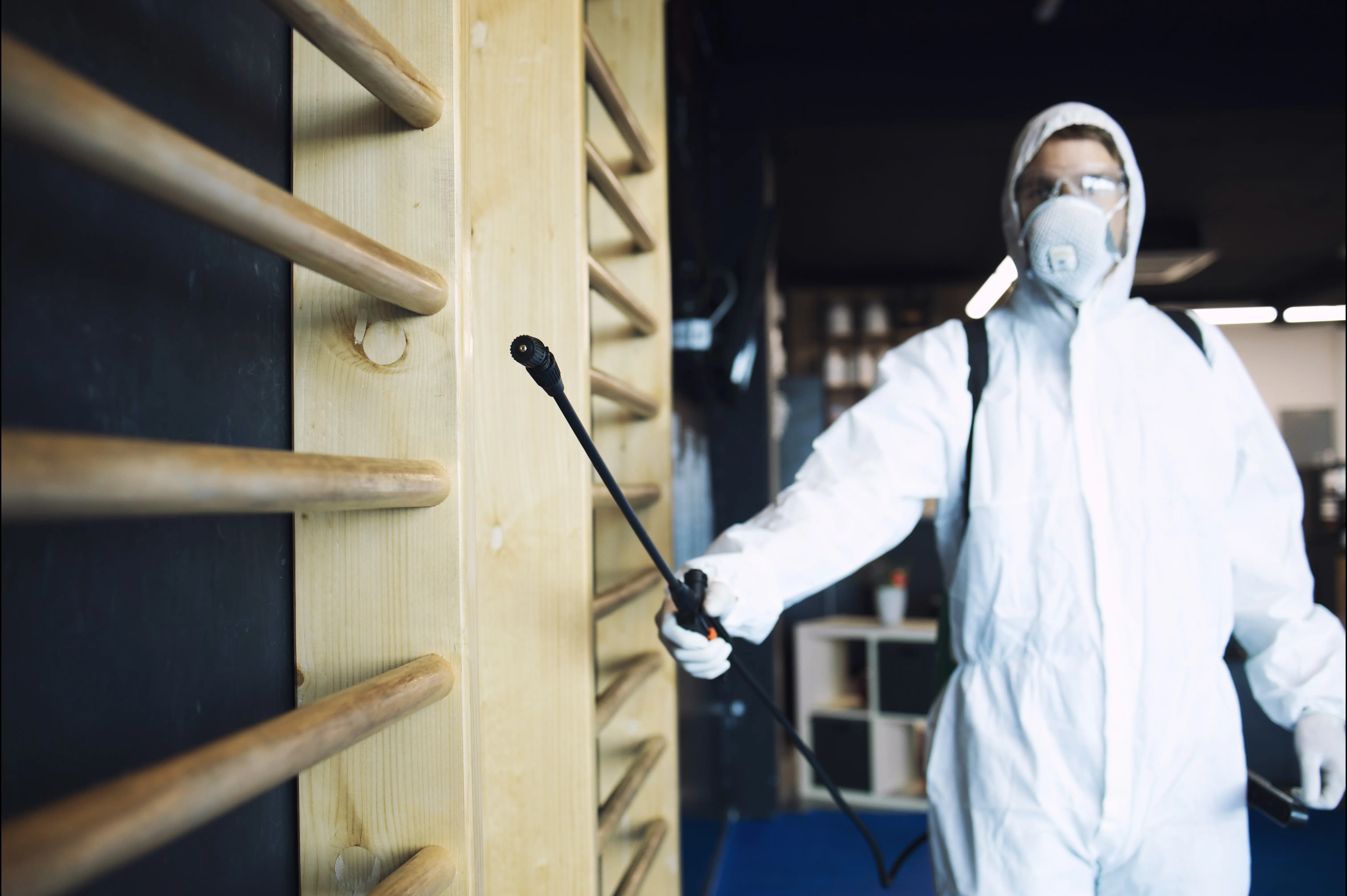 Struggling with Pests in Stratford? Here’s Your Solution!