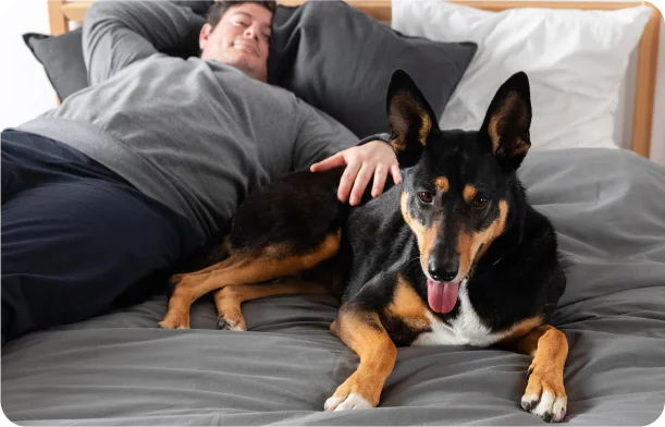 How do guard dog patrols enhance security beyond traditional methods?