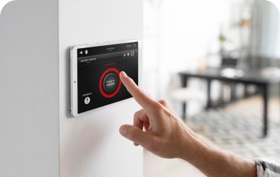 Intruder Alarms Systems