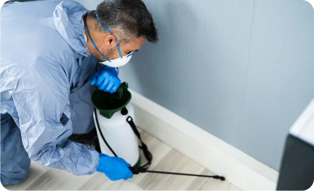 The types of pest control services